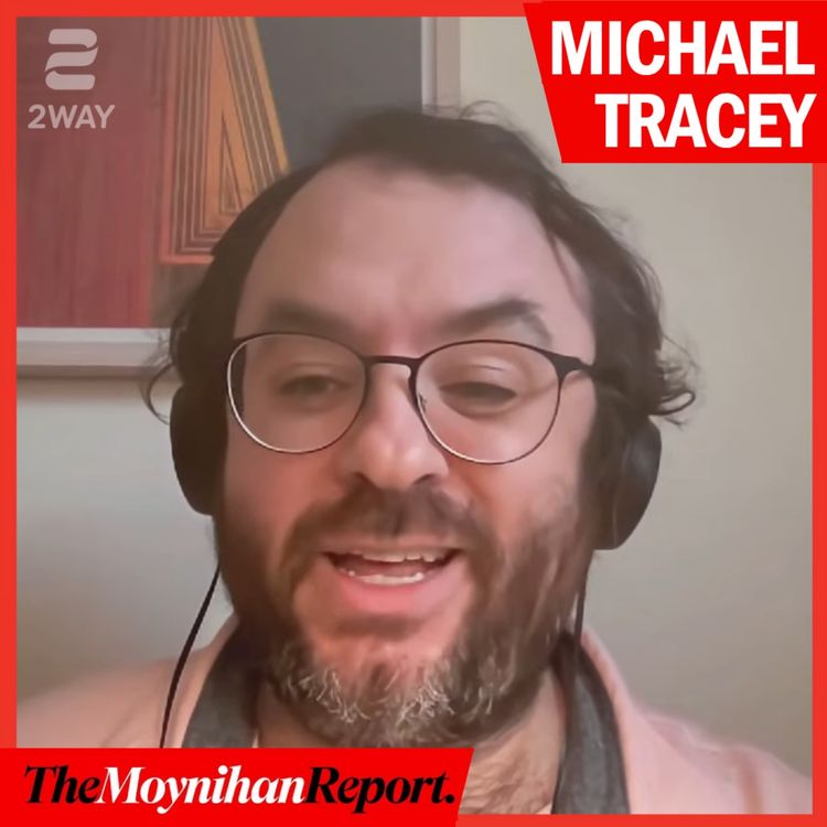 cover art for Debunking Epstein conspiracies with Michael Tracey | The Moynihan Report