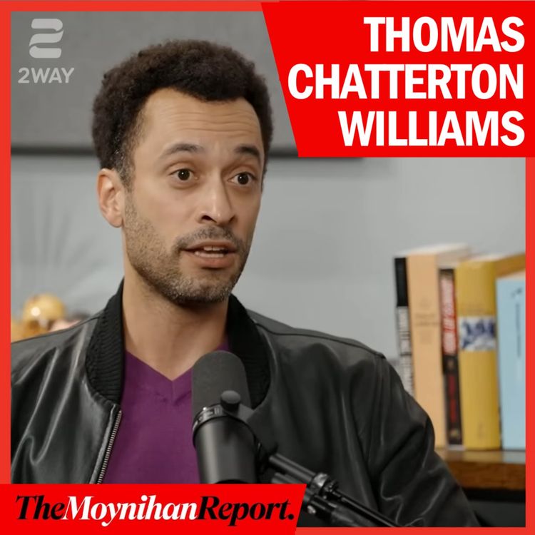 cover art for How the Left's 2020 'peak dominance' created the inevitable Trump backlash | The Moynihan Report