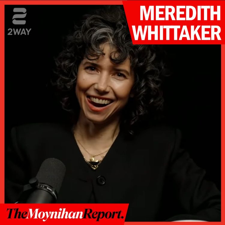 cover art for AI is NOT replacing your job, it's "degrading" it. here's how | The Moynihan Report