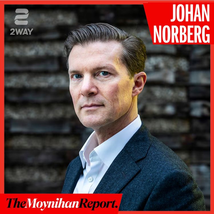 cover art for Everything MAGA gets wrong about economics | The Moynihan Report