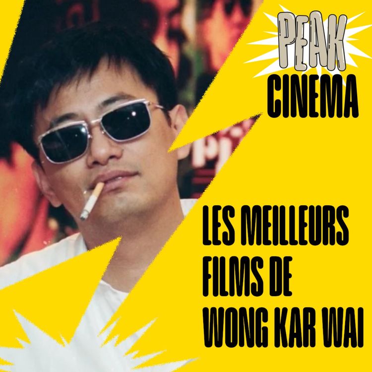 cover art for LES MEILLEURS FILMS DE WONG KAR WAI