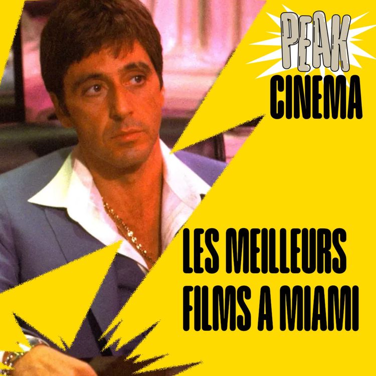 cover art for LES MEILLEUS FILMS SE DEROULANT A MIAMI