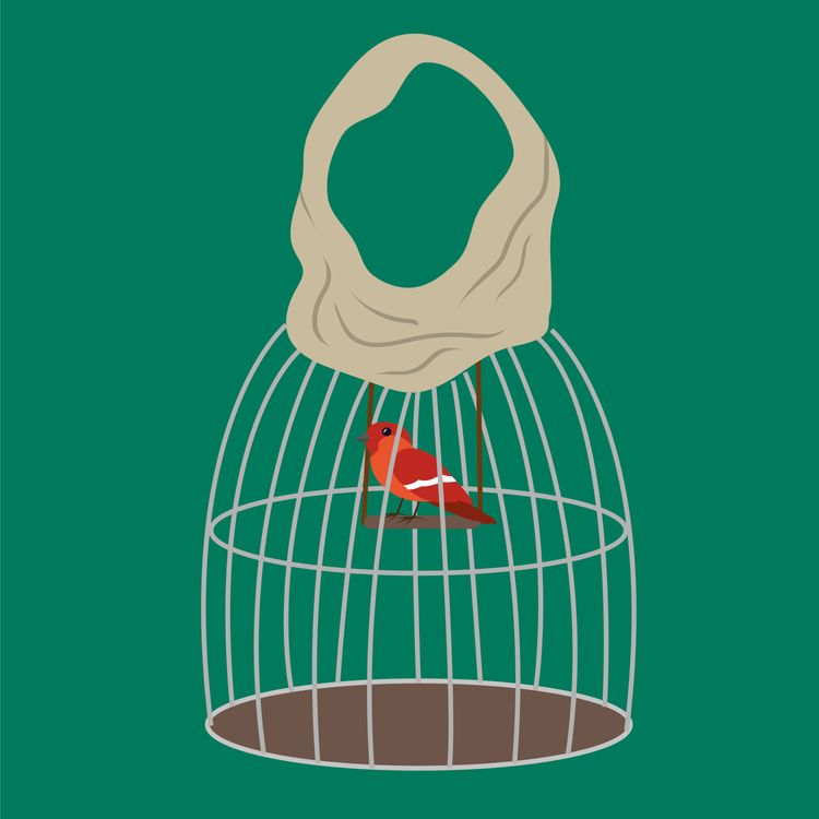 cover art for Not just a Mama