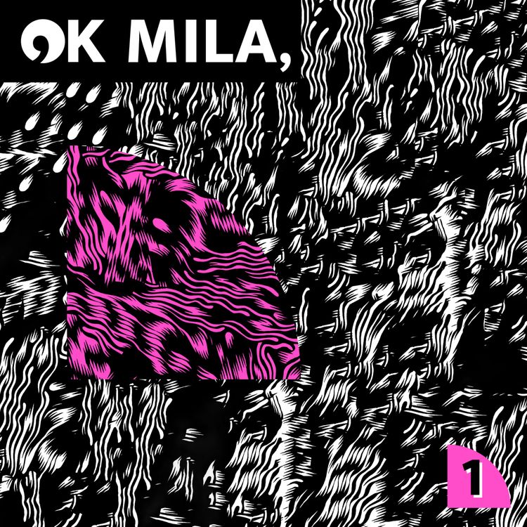 cover art for 02 · IA et diversité avec Vincent Leone 