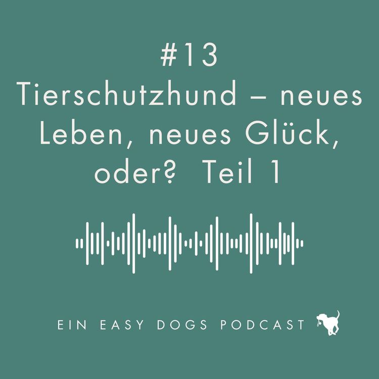 cover art for #13 Tierschutzhund Teil 1 - neues Leben, neues Glück, oder?