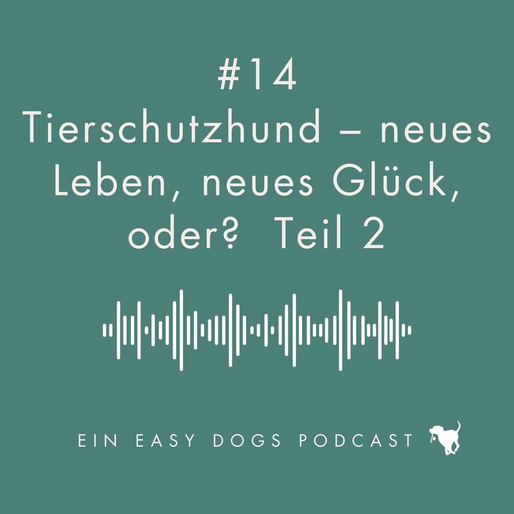 cover art for #14 Tierschutzhund Teil 2 - neues Leben, neues Glück, oder?
