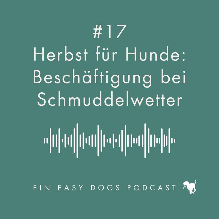 cover art for #17 Herbst für Hunde: Beschäftigung bei Schmuddelwetter