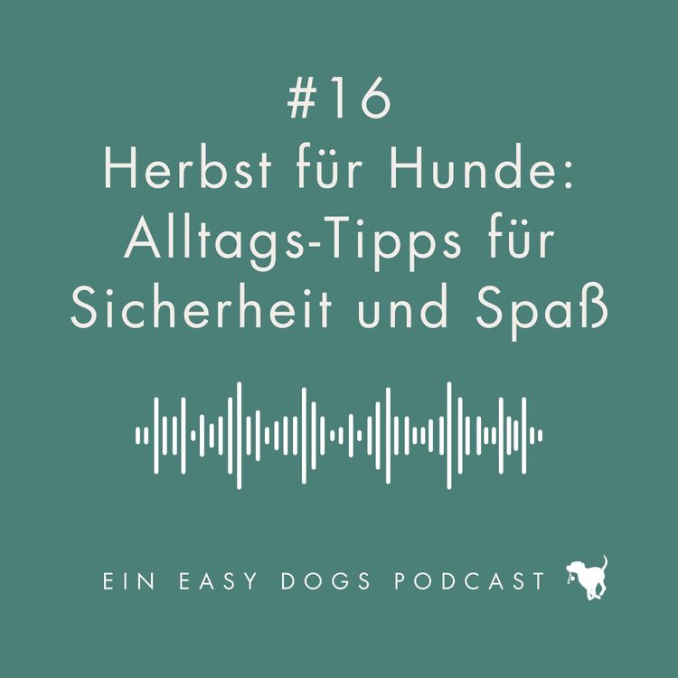 cover art for #16 Herbst für Hunde: Alltags-Tipps für Sicherheit und Spaß