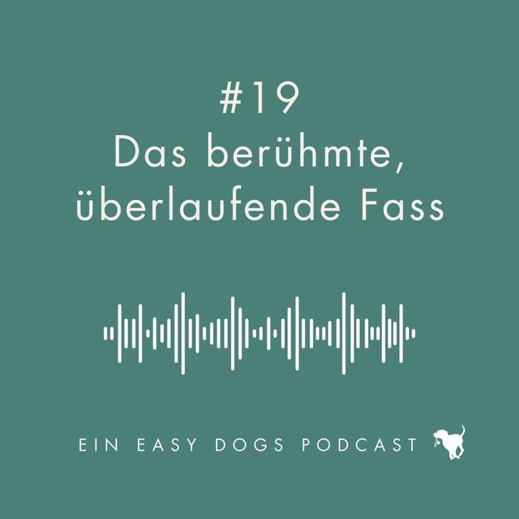 cover art for #19 Das berühmte überlaufende Fass