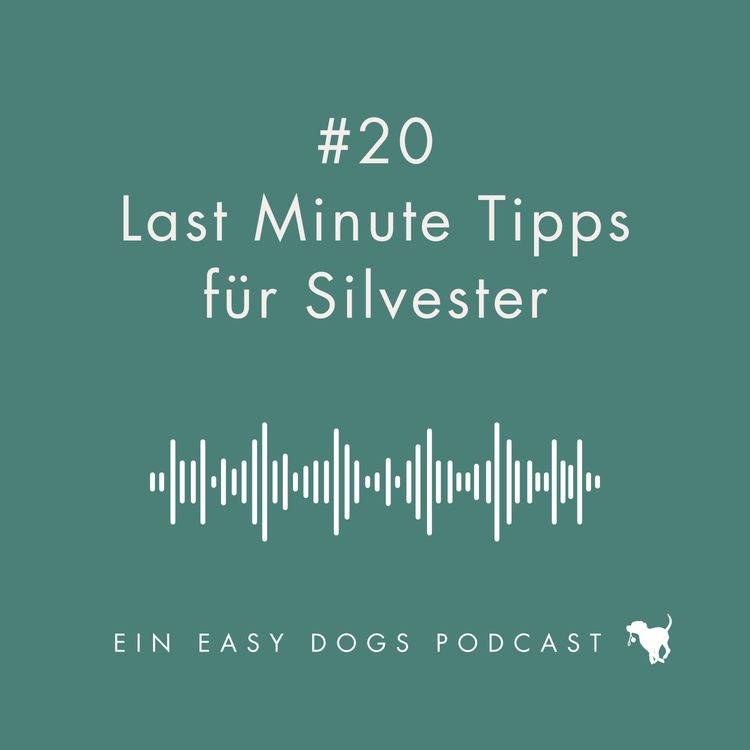 cover art for #20 Last Minute Tipps für Silvester