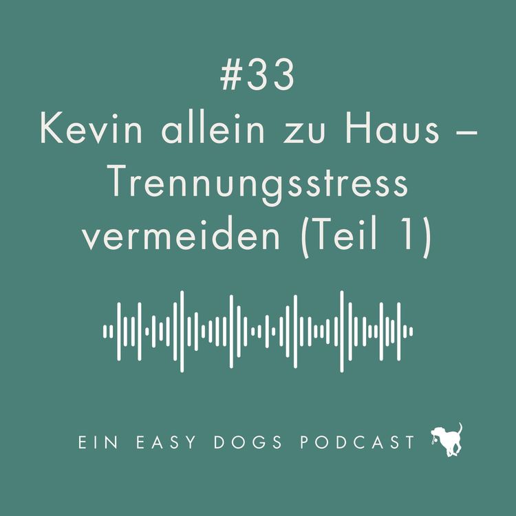 cover art for #33 Kevin allein zu Haus - Trennungsstress vermeiden (Teil 1)
