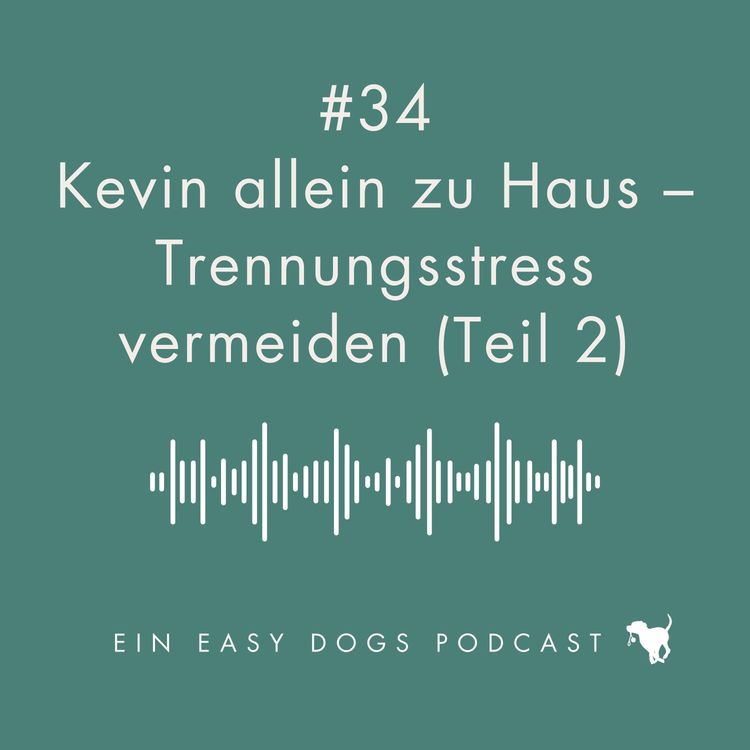 cover art for #34 Kevin allein zu Haus - Trennungsstress vermeiden (Teil 2)