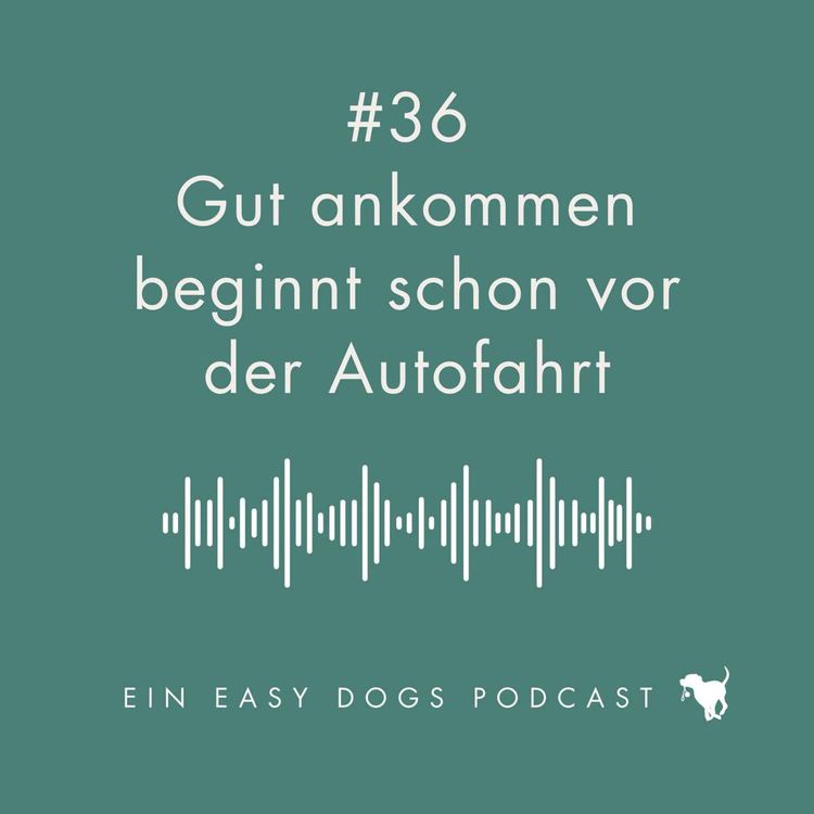 cover art for #36 Gut ankommen beginnt schon vor der Autofahrt