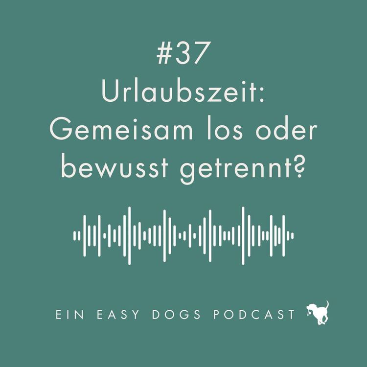 cover art for #37 Urlaubszeit: Gemeinsam los oder bewusst getrennt?
