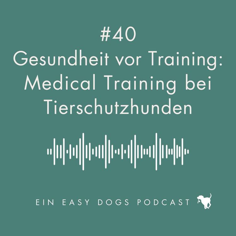 cover art for #40 Gesundheit vor Training: Medical Training bei Tierschutzhunden