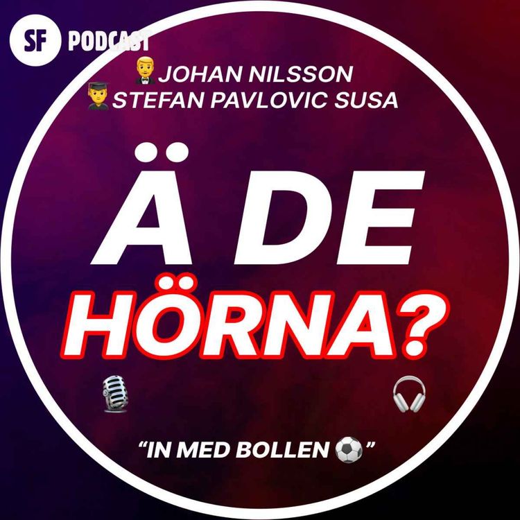 cover art for 19. En sällsynt dålig research