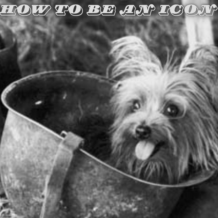 cover art for Smokey : How to be an Icon 