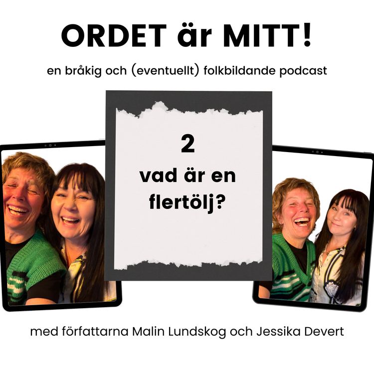 cover art for Vad är en flertölj?