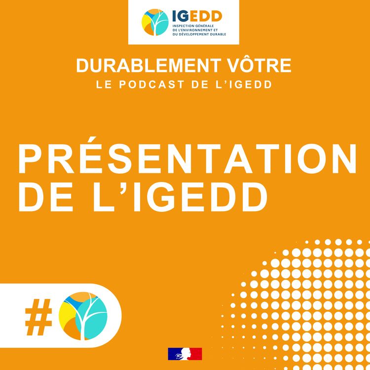 cover art for Présentation de l'IGEDD