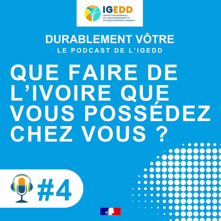 cover art for Épisode n°4 - Que faire de l’ivoire que vous possédez chez vous ?