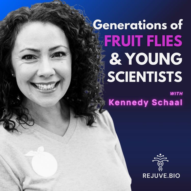 cover art for Kennedy Schaal on 7-Month Fruit Flies, AI, and the Future of Longevity Science