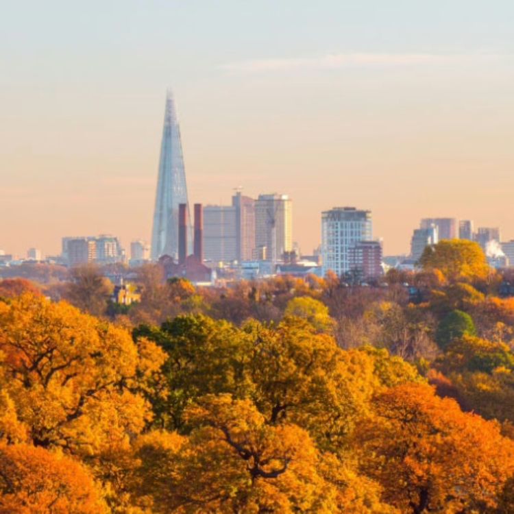 cover art for Talk About London: The London Growth Plan