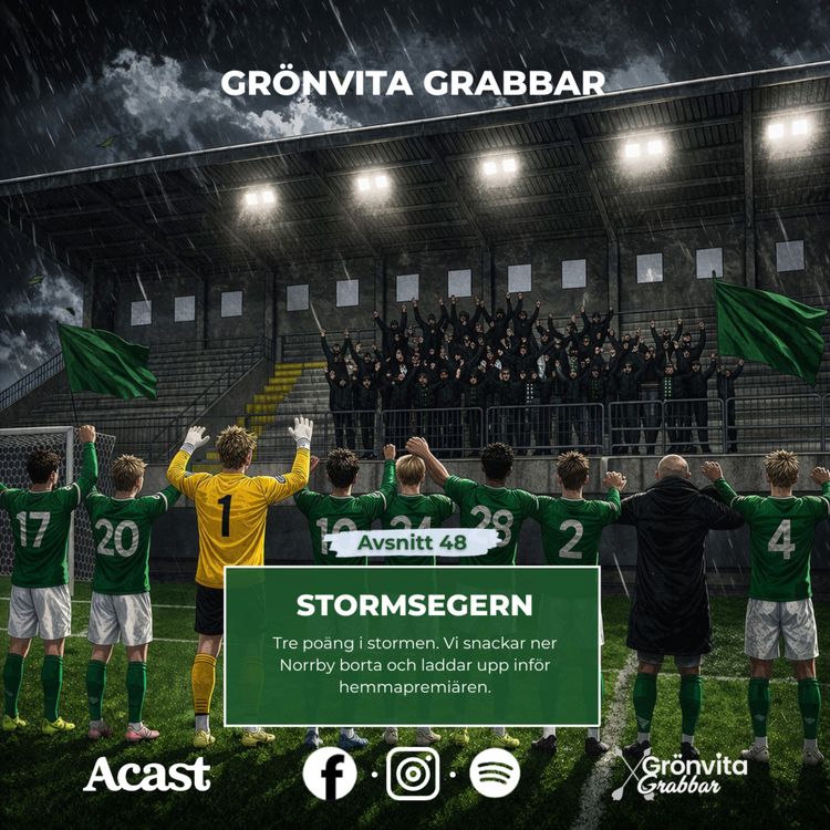 cover art for 48. Stormsegern