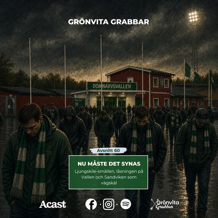 cover art for 60. Nu måste det synas