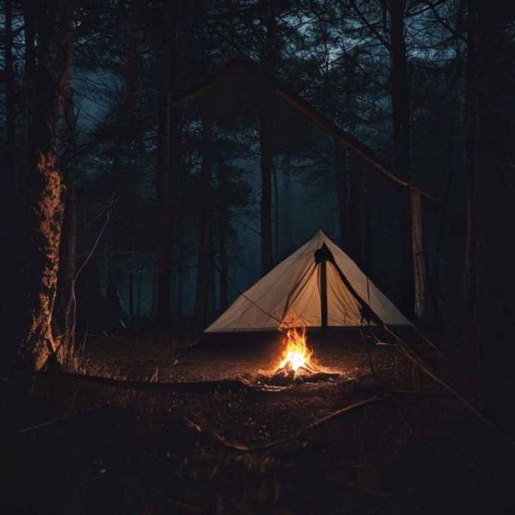 cover art for 4 Disturbing TRUE Camping Scary Stories