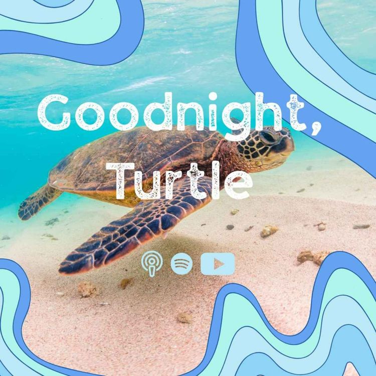 cover art for Goodnight, Turtle | Extended Version |