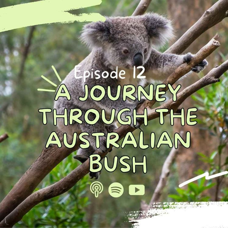 cover art for A Journey Through the Australian Bush | Extended Version |