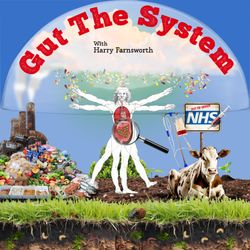 cover art for Gut the System with Harry Farnsworth