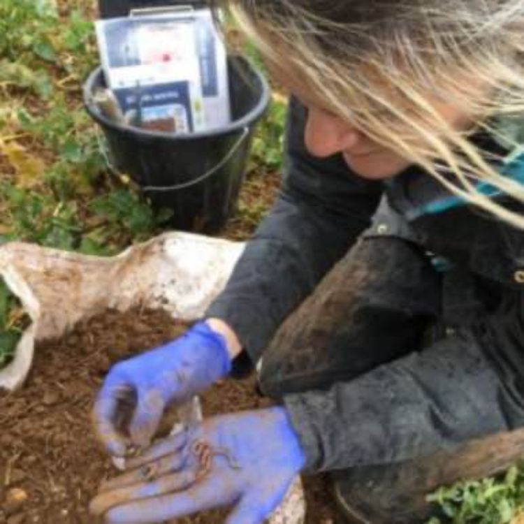 cover art for Dr. Jacqueline Stroud