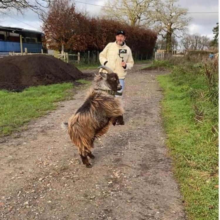 cover art for Thomas Slattery 