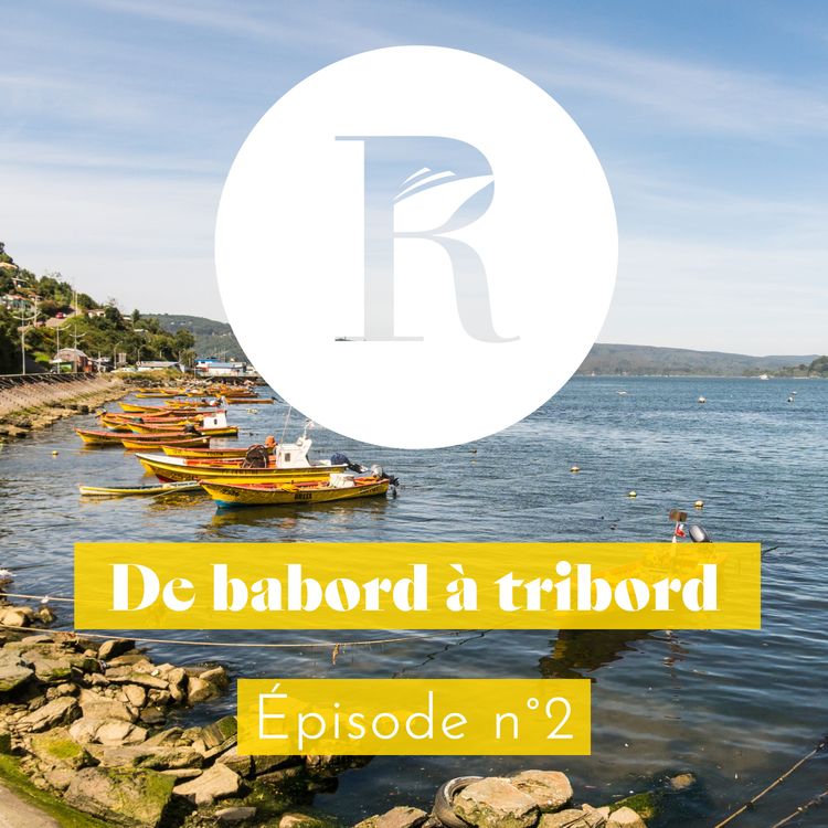 cover art for Direction vers le sud du Chili