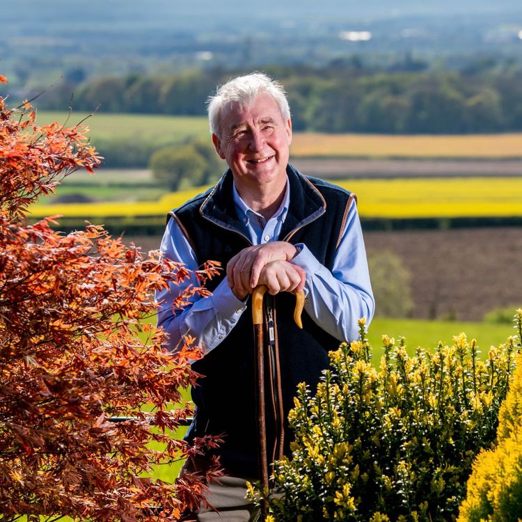 cover art for Peter Wright - The Yorkshire Vet