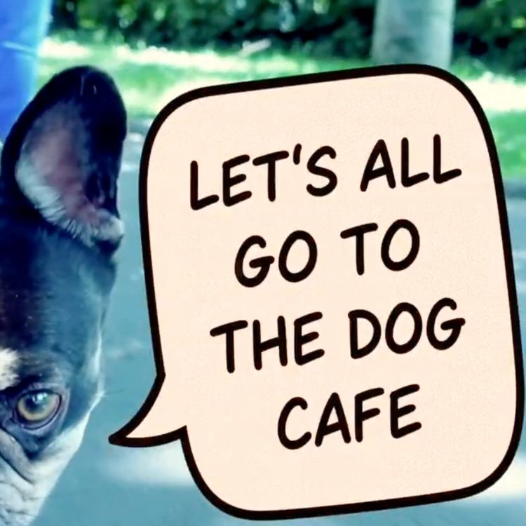 cover art for Puppuccino Podcast