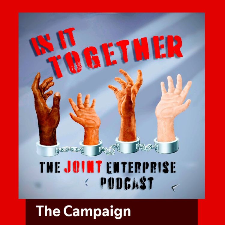 cover art for The Campaign