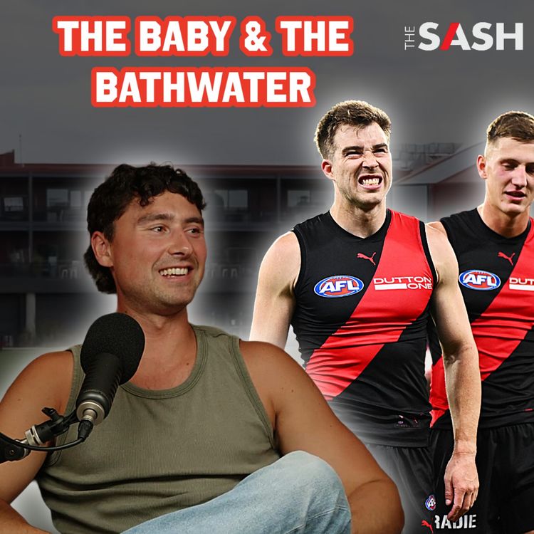 cover art for The baby and the bath water