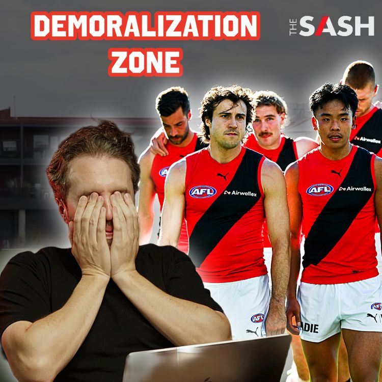 cover art for Demoralization zone