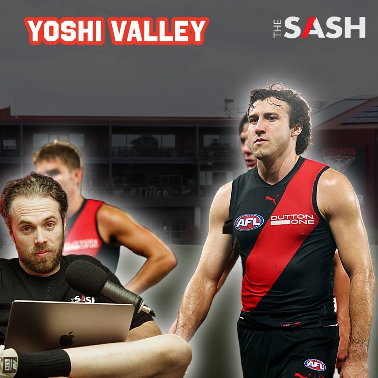 cover art for Yoshi Valley