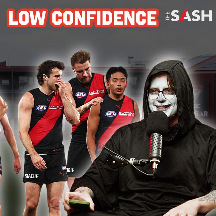cover art for Low Confidence