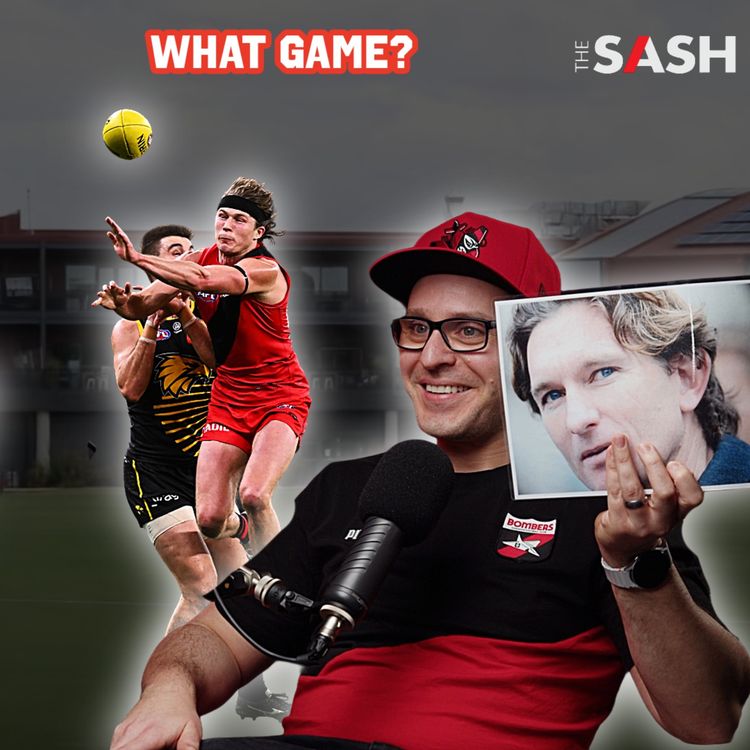 cover art for What Game?