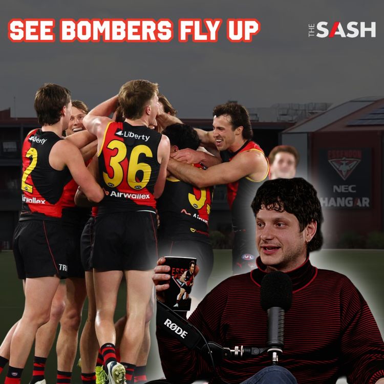 cover art for See Bombers Fly Up