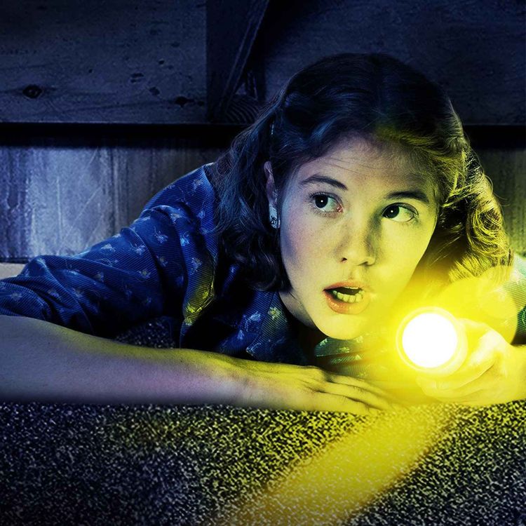 cover art for Don't Look Under the Bed (with Amanda Jane Stern)