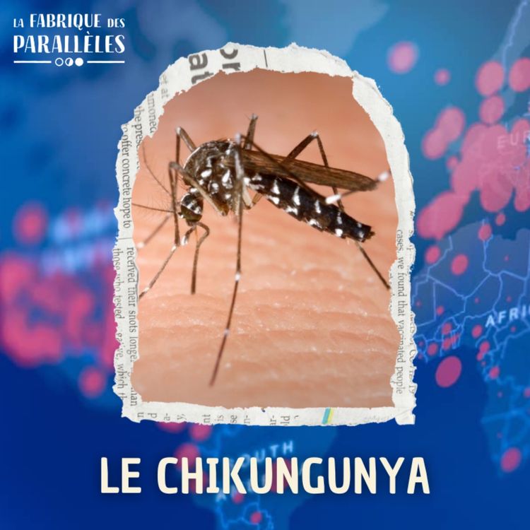 cover art for Le Chikungunya