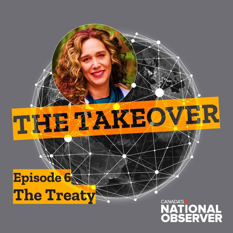 cover art for The Treaty