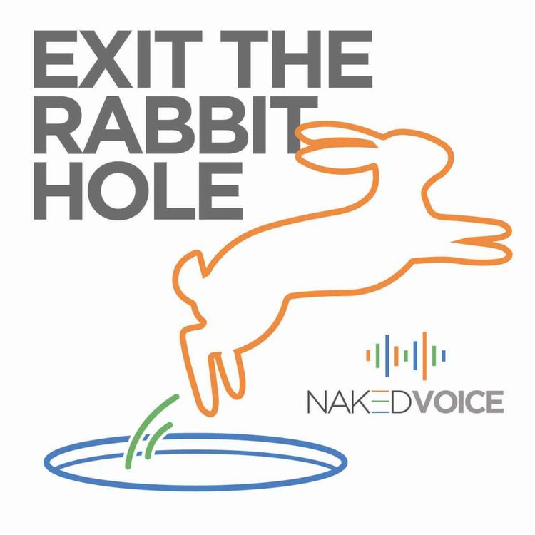 cover art for EXIT THE RABBIT HOLE 