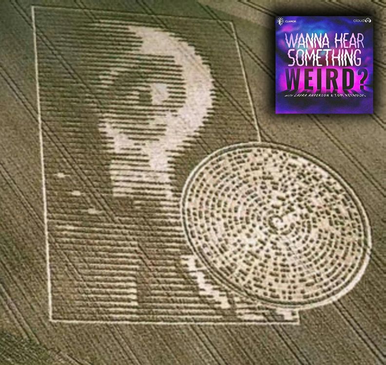 cover art for Crop Circles