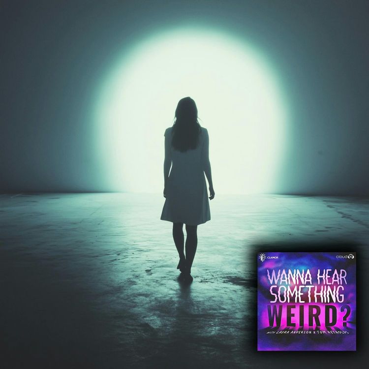 cover art for The Near-Death Experience of Pam Reynolds